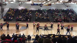 CCHS Terrier Pride Dancers