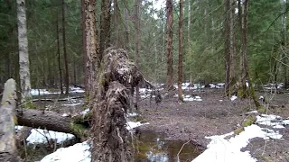 Подмосковье, апрельское тропление мелкого рыжего Йети (Бигфут, Снежный человек)