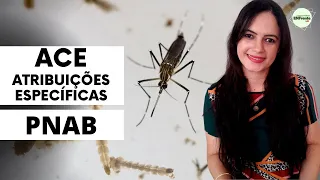 PNAB - Atribuições Específicas do ACE (Agente de Combate a Endemias) - Profª Juliana Mello