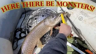 Chasing Monkey Lip Lake Monsters #lakemonster #pike #fishing #monsterfish #seasonopener #carp #boat