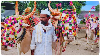 बैलाचे गाणे डीजे सॉंग | बैलाचे गाणे दाखवा डीजे सॉंग | बैलाचे गाणे  | बैल पोळा dj song |