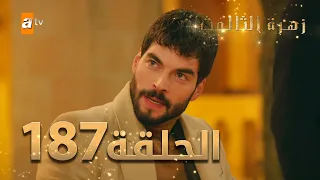 مسلسل زهرة الثالوث - الحلقة 187 | مدبلج | الموسم الثاني