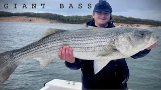 35lb Striped Bass in 10ft of Water - J.A.S. Fishing