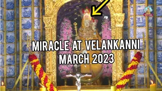 Miracle At #Velankanni Church🤍 4th March 2023 #miracle