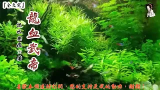 龍血武帝 (2621-2640章) 作者：流水無痕 (字幕：繁 简）