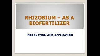 Rhizobium as a biofertilizer- it's production and application.