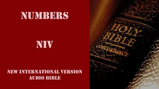 Numbers NIV Audio Bible & Time Index - New International Version by Dramatized. OT 04.