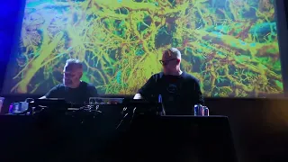 Carbon Based Lifeforms: Photosynthesis @ Rich Mix, London, 2024