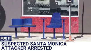 Man accused of throwing 6-year-old girl to ground in Santa Monica