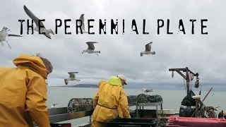 Howth | The Perennial Plate