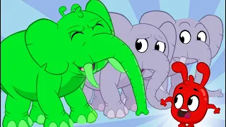 Orphle Plays Hide & Seek | My Magic Pet Morphle | Fun Animal Cartoons