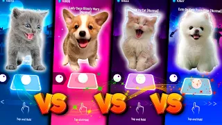 CUTE CAT LADY GAGA BLOODY MARY VS CUTE DOG BLOODY MARY VS CUTE CAT CUPID VS CUTE DOG KATY PERRY ROAR