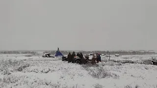 Новая стоянка кочевников / Стойбище оленеводов / New camp of nomads / Camp of reindeer herders