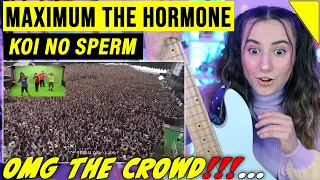 Maximum the Hormone - Koi no sperm | First Time reaction マキシマム ザ ホルモン 『恋のスペルマ』 Music Video 野外フェス映像