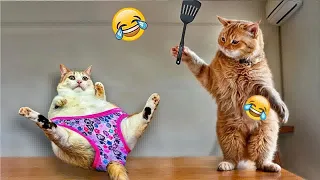 You Laugh You Lose😸🐶Funniest Dogs and Cats 2024😎