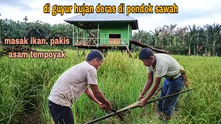 HUJAN DERAS DI PONDOK SAWAH, MASAK GULAI ASAM TEMPOYAK