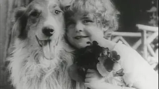 Собачья любовь / A Dog's Love (1914)