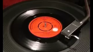 'They're Coming To Take Me Away Ha-Haaa!' + 'Edis B' - NAPOLEON XIV - 45rpm 1966