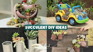 19 Succulent DIY Ideas| 19 Ý tưởng trang trí sen đá tuyệt đẹp| 多肉植物| 다육이들 | Suculentas