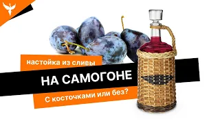 рДЖ 23: С косточкой или без? Как лучше? Настойка из сливы на самогоне