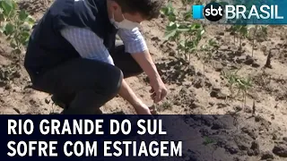 Estiagem afeta 80% dos municípios do Rio Grande do Sul | SBT Brasil (08/02/22)