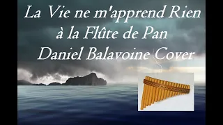 La Vie ne m'apprend Rien à la Flûte de Pan - Daniel Balavoine Cover