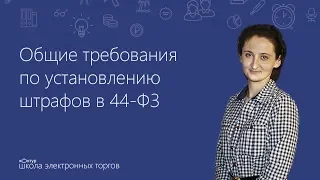 Общие правила по установлению штрафов в 44-ФЗ