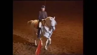 Spanish Riding School Vienna 1994 (6/6) - Solo: Chief Rider Klaus Krzisch & Siglavy Mantua I