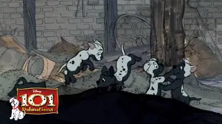 Dalmatian in disguise | HD (9/11) Movie Scenes | 101 Dalmatians (1961)