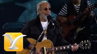 Yusuf Cat Stevens, Oh Very Young, Festival de Viña 2015 HD 1080p