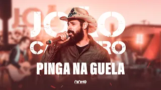 João Carreiro - Pinga na guela