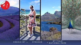 PART 1- 14 Days Tasmania Road Trip Itinerary+ Useful Tips| Tasmania Travel Guide