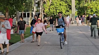 MIAMI BEACH MARINA AND WALK WAY. NICE DAY! 4k videos.