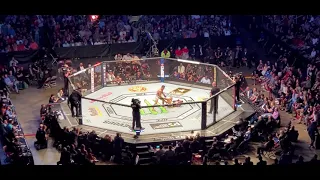 ufc 262 chandler vs Oliveira round 1