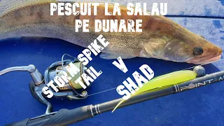 Dunare pescuit la salau pe naluci Spike Tail