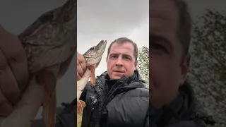 Kaida legend 3-15гр. 210. обкатка прошла успешно.🎣🎣🎣👍