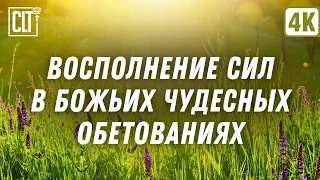 Восполнение сил в Божьих чудесных обетованиях | Безопасность | Мудрость | Relaxing