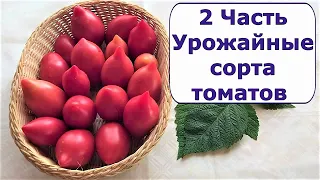 507.Урожайные сорта томатов.Часть 2