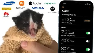 Kitten Meows but mobile alarms