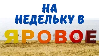 В Яровое на недельку до второго (Алтайский край)