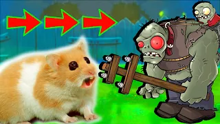 Obstacle Course with Traps Maze Zom Bie GAME In Hamster Stories