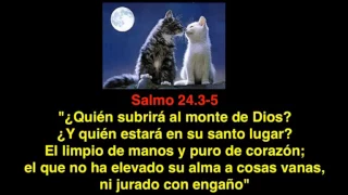 Salmo 24. 3- 5: ¿Quién subirá al monte de Dios? ¿Qué significa subir al monte de Dios?