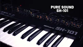 Pure sound of Roland SH-101 (no talking)