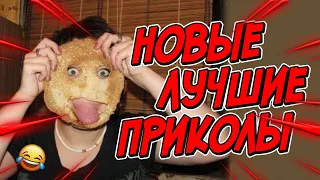 😂Я РЖАЛ ДО СЛЕЗ | ПРИКОЛЫ ЗА АПРЕЛЬ | FUNNY MOMENTS 2023 | 13 МИНУТ СМЕХА! | #404