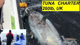 Tuna Fishing Charter Cornwall Sept 2022 160lb & 260lb Tuna