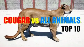 Far Cry 5 Arcade - Animal Fight (Top 10) Cougar vs All Animals Battles