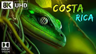 COSTA RICA 🇨🇷 8K Video Ultra HD 60FPS Dolby Vision | Costa Rica 8K HDR | 8K TV