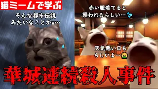 猫ミームで学ぶ華城連続殺人事件 #猫マニ #猫ミーム