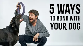 5 Ways To Build A Better Bond With Your Dog