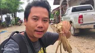 Laos Vang Vieng : Morning market in song river ,Laos food 2018